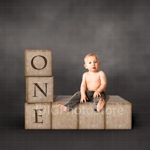 First Birthday Digital Backdrop, One Year Digital Background, 12 Months