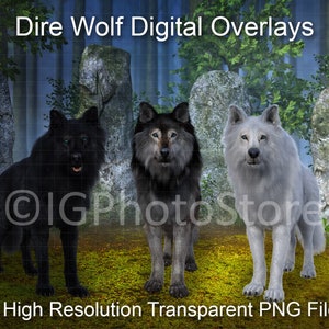 May include: Three digital overlays of dire wolves in a forest setting. The wolves are black, grey, and white. The image is labeled "Dire Wolf Digital Overlays" and "18 High Resolution Transparent PNG Files".