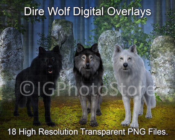 18 Dire Wolf Digital Overlays, Transparent PNG Wolves, Dire Wolf PNG, Wolf Clipart for Composite Photography, Scrapbooking and Digital Art