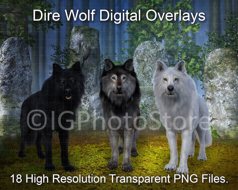 May include: Three digital overlays of dire wolves in a forest setting. The wolves are black, grey, and white. The image is labeled "Dire Wolf Digital Overlays" and "18 High Resolution Transparent PNG Files".