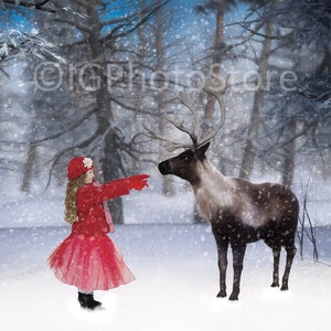 Christmas Reindeer Digital Backdrop, Winter Background, Christmas Background, Reindeer in the Snow Backdrop for Composite Photography
