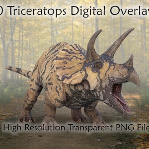 Triceratops Digital Overlays, 10 Dinosaur PNG Overlays, Transparent PNG Triceratops Clipart for Composite Photos, Digital Art, Scrapbooking