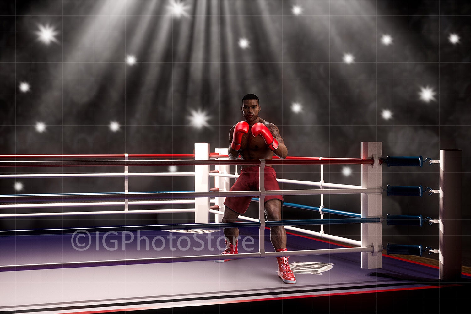 Boxing Ring or Wrestling Ring Digital Backdrop Sports