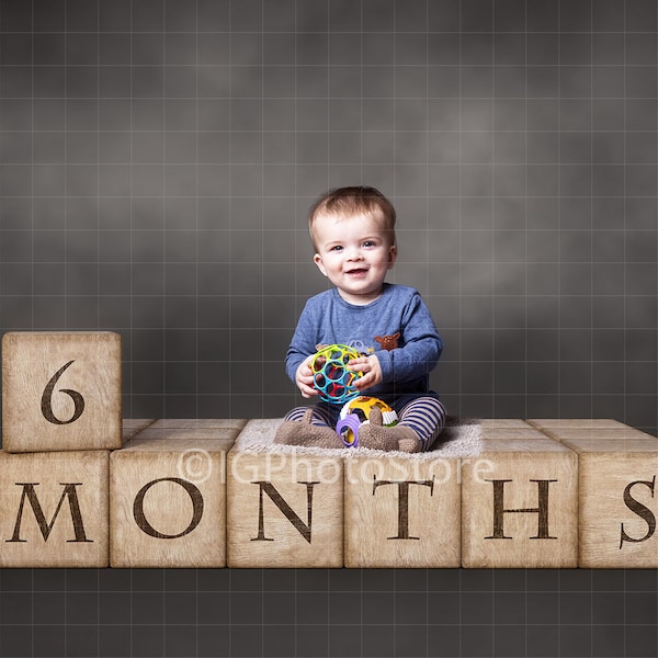 6 Months Digital Backdrop, 6 Month Old Baby Milestone Background, Baby Photography Backdrops, Baby Boy or Girl, Photo Studio Digital Props