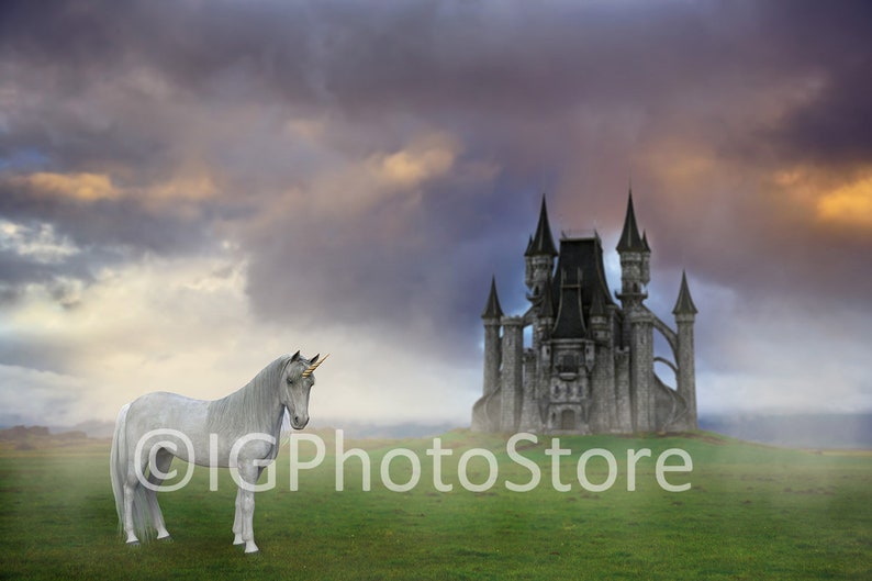 Unicorn Digital Backdrops, Unicorn Background Bundle, Unicorn Overlay, Castle Backdrops with Unicorns, Unicorn PNG Overlays, Compositing Kit image 3