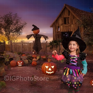 Halloween Digital Background, Halloween Backdrop, Pumpkin Patch Backdrop, Fall Digital Backdrop with Scarecrow, Autumn Photography Backdrop