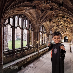 Cosplay Backdrop, Digital Backdrop, Digital Background, Cloisters Background, Wizard Cosplay Background, Lacock Abbey Photography Background