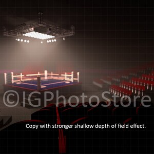 Boxing Arena Digital Backdrop, Boxing Ring Digital Backdrop, Sports ...