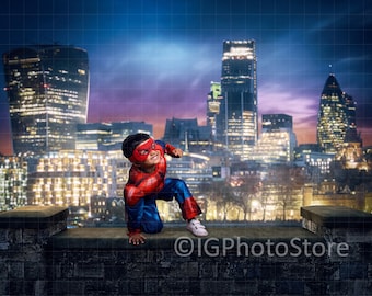 Superhero London Cityscape Digital Backdrop (JPG File)