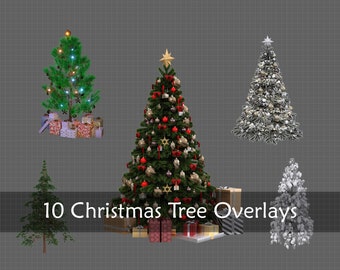 Christmas Tree PNG Overlays, Holiday Photo Clipart (Digital Download)