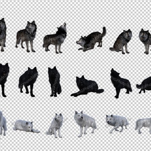 May include: A collection of 15 digital images featuring wolves in various poses. The wolves are depicted in black, white, and gray fur, with some howling, sitting, lying down, and standing. These images are perfect for use in digital art, graphic design, or as stock photos.