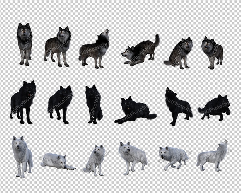 May include: A collection of 15 digital images featuring wolves in various poses. The wolves are depicted in black, white, and gray fur, with some howling, sitting, lying down, and standing. These images are perfect for use in digital art, graphic design, or as stock photos.