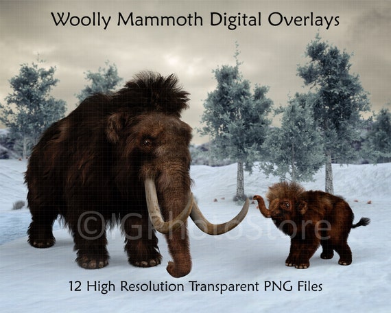 マンモスの牙でできたマンモス像 wooly mommoth ケナガマンモス マンモスの牙でできたマンモス像 wooly mommoth ケナガマンモス
