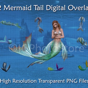 32 Mermaid Tail Overlays, Transparent PNG Mermaid Tails, Photoshop Overlays, Mermaid Clipart, PNG Digital Overlays, Compositing, Digital Art