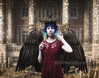 Engel- en demonenvleugels foto-overlays, gevederde png-afbeelding (digitale kunst)