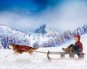 Husky Pulling Sled Digital Backdrop, Sleigh Ride Background for Kids Composite Portraits, Dog Pulled Sledge in Snowy Winter Landscape