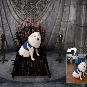 May include: A white dog wearing a blue and white vest sits on a throne made of swords. The dog is looking to the right. The throne is in a room with stone walls. The dog is sitting on a brown cushion.