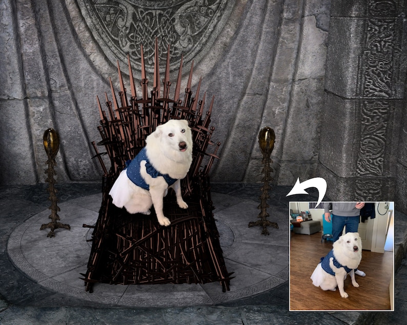 May include: A white dog wearing a blue and white vest sits on a throne made of swords. The dog is looking to the right. The throne is in a room with stone walls. The dog is sitting on a brown cushion.