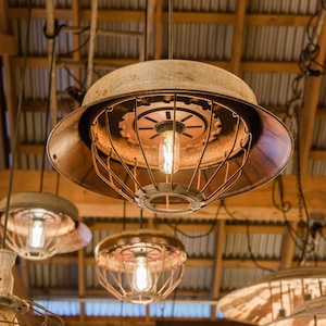 Rustic Turkey & Chicken Feed Bowl w/Seed Planter Plate Pendant