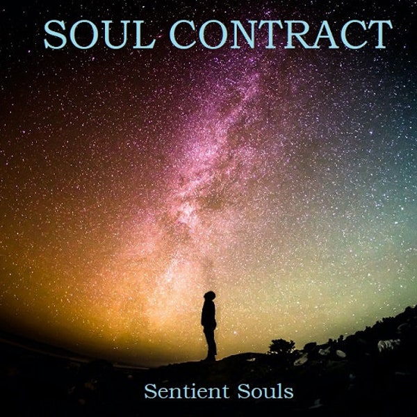 Combo #5! Soul Contract Reading, Personal Astrological Natal Chart, AND Karmic Insight Report