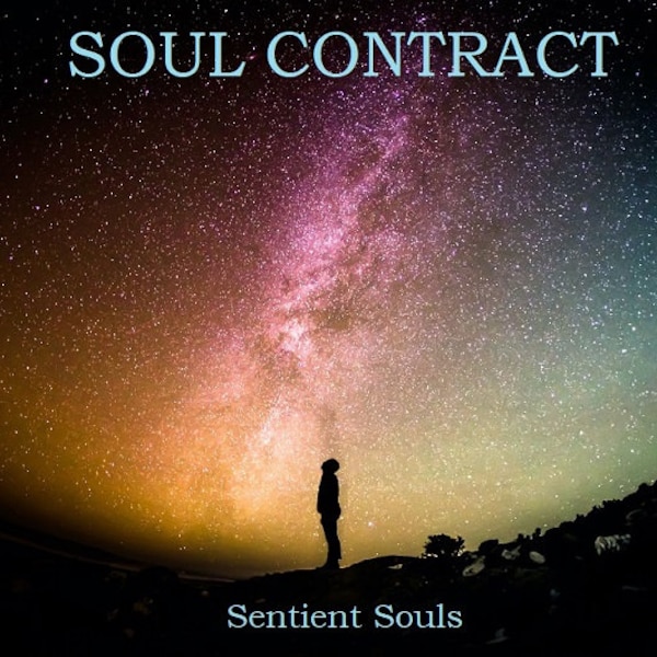 Soul Contract Reading