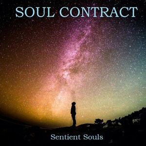 Combo #6! Soul Contract Reading, Personal Astrological Natal Chart, Karmic Insight Report, AND compatibility reading!