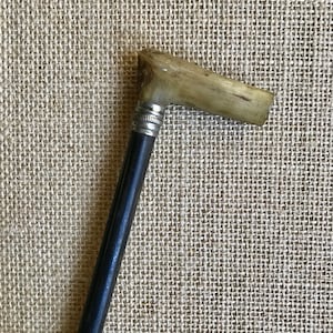 Antique Ladies Riding Crop with Horn Handle