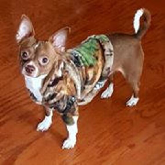 chihuahua camo clothes