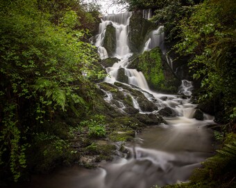 Crawfordsburn Waterfall, Bangor