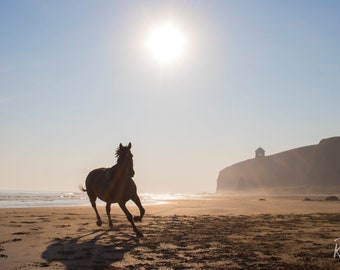 Morning at the Mussenden Temple