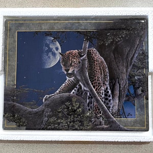 May include: A framed art print featuring a leopard on a tree branch under a moonlit night sky. The leopard has a spotted coat and is in a predatory pose. The artwork is set within a gold-toned frame.