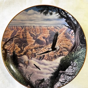 Bald Eagle Plates, Spirits of The Wild Series by John Van Straalen, Set of 8 with Same Plate Number D1521, Spirit Animals in the Background
