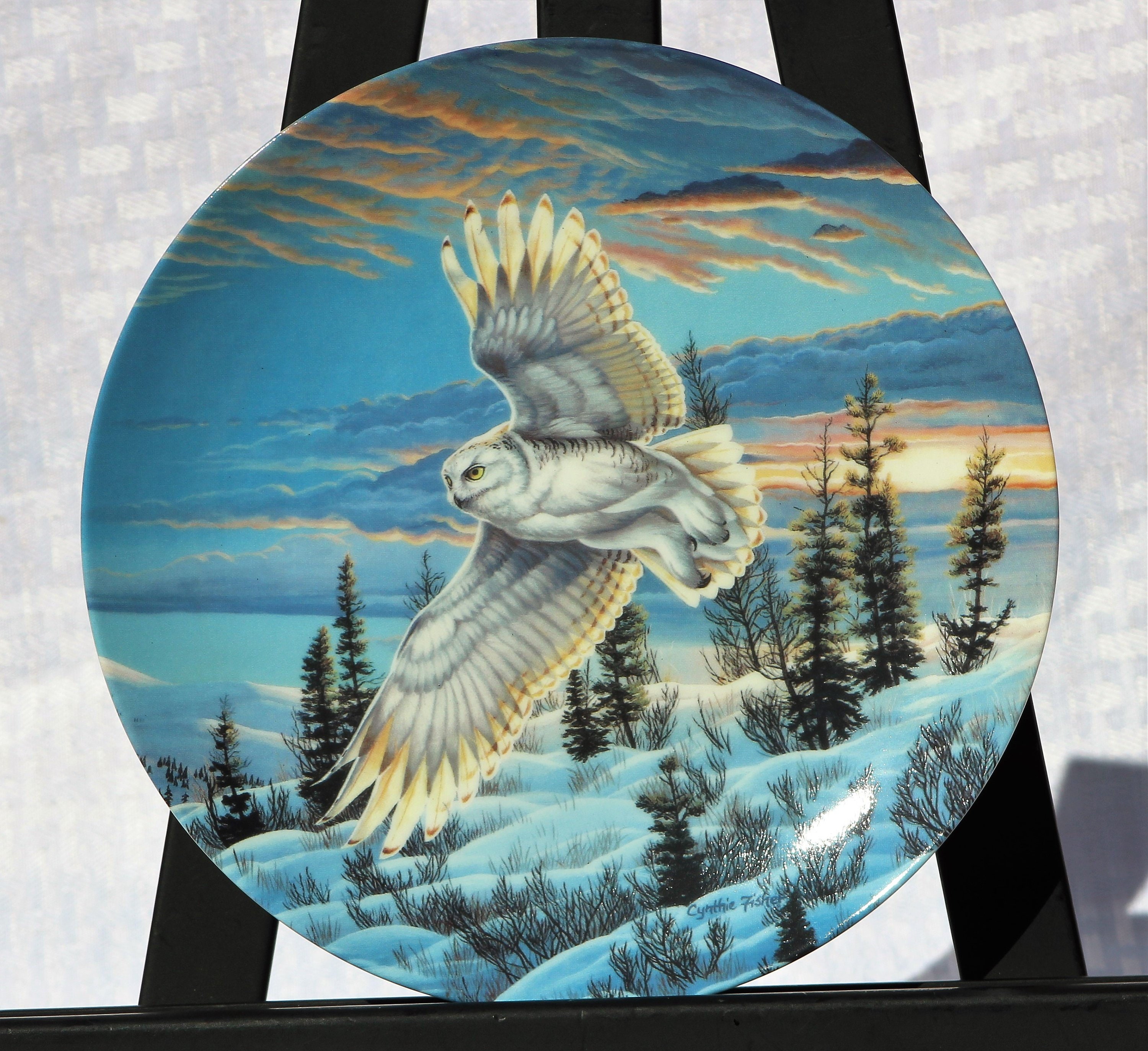 Cynthie Fisher Snowy Owl Plate, Limited Edition Collectors Plate, 1992