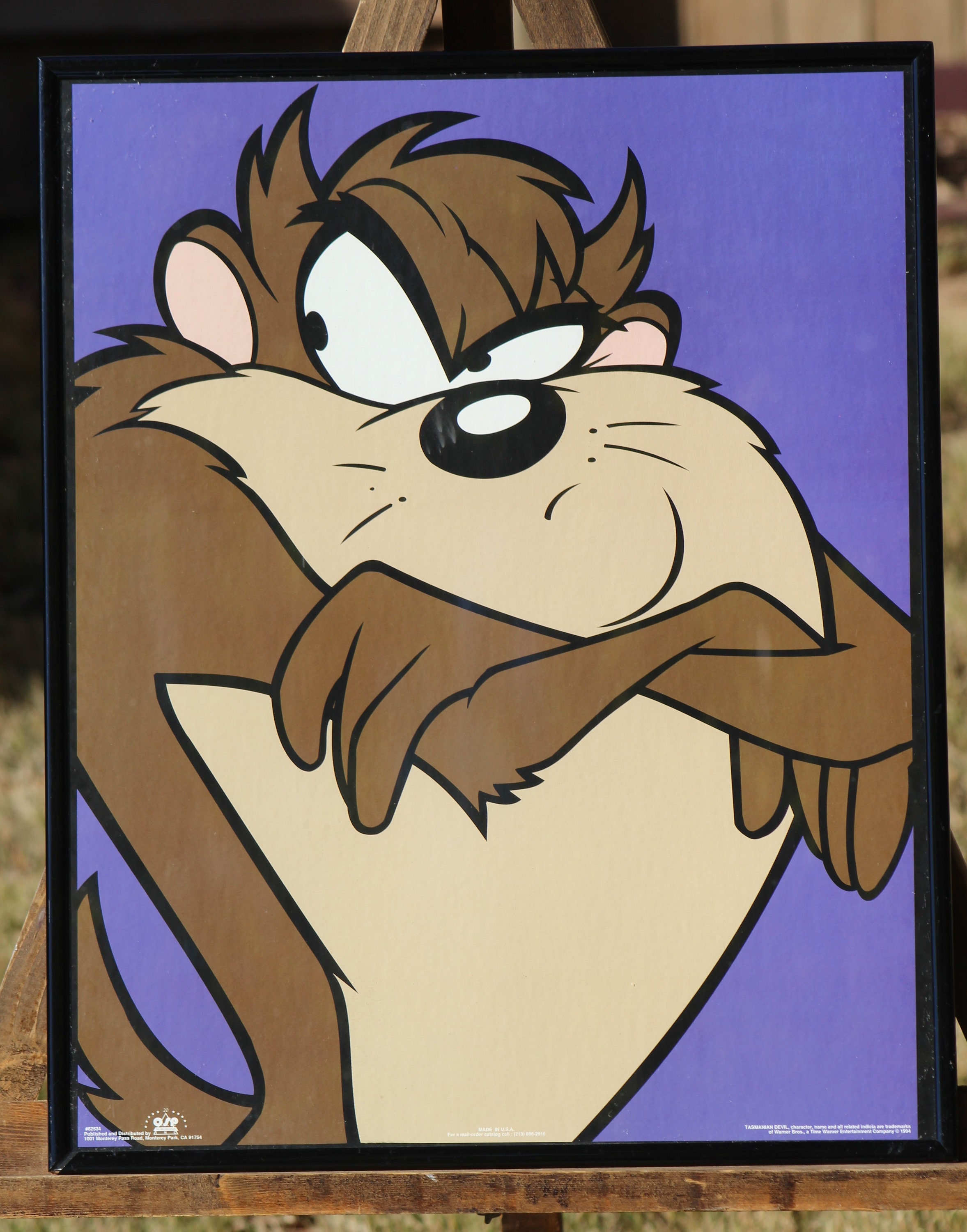 Tasmanian devil cartoon discount