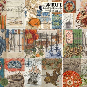Könnte beinhalten: Eine Collage aus Vintage-Ephemera mit nautischen und botanischen Themen. Enthält Bilder von Krebsen, Fischen, Schiffen und floralen Mustern. Textelemente sind "ANTIQUITE" und "Twisted Paper Studio."