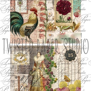 Antike Color Collage Digital Paper Kit