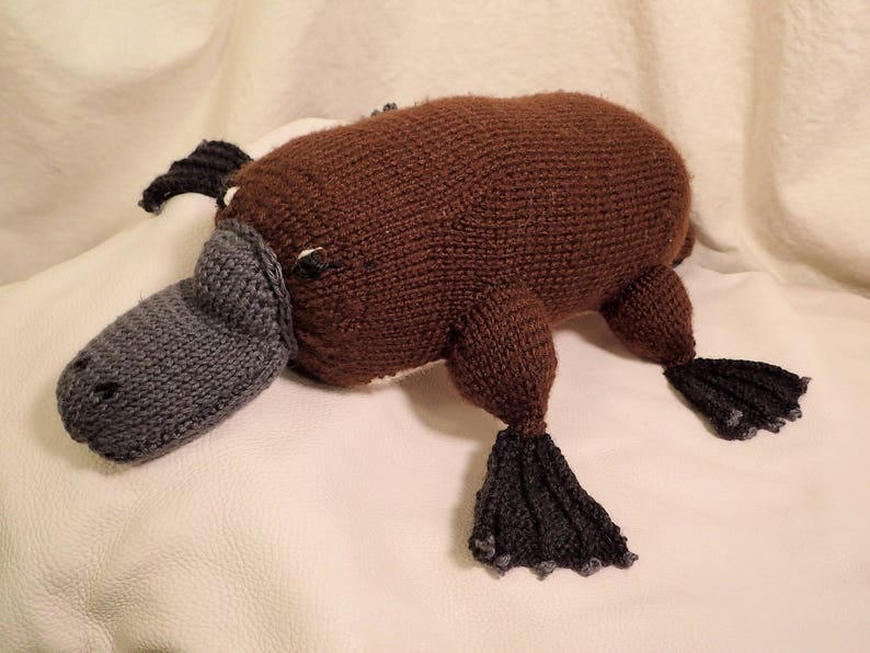 Phoebe the Platypus, Knit Softie Pattern image 4