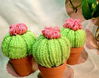 Handknit Cactus - Office Decor - Home Decor - Cute