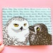 Mom's Birthday Card | Funny Snowy Owl Card for Mother | Cute Bird Greeting Card Owl Lover Gift 