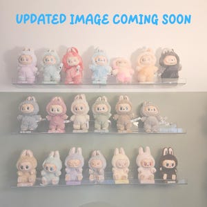 Custom Labubu Display Stand: The Complete Collection