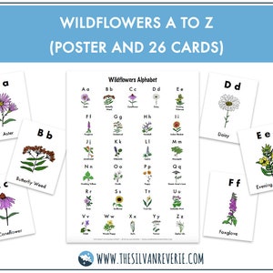 Wildflowers A to Z Cards and Poster (Digital Download)