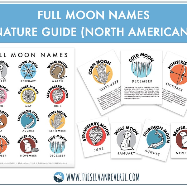 Full Moon Names of North America Poster, Fact Cards, and ID Cards (Digital Download)