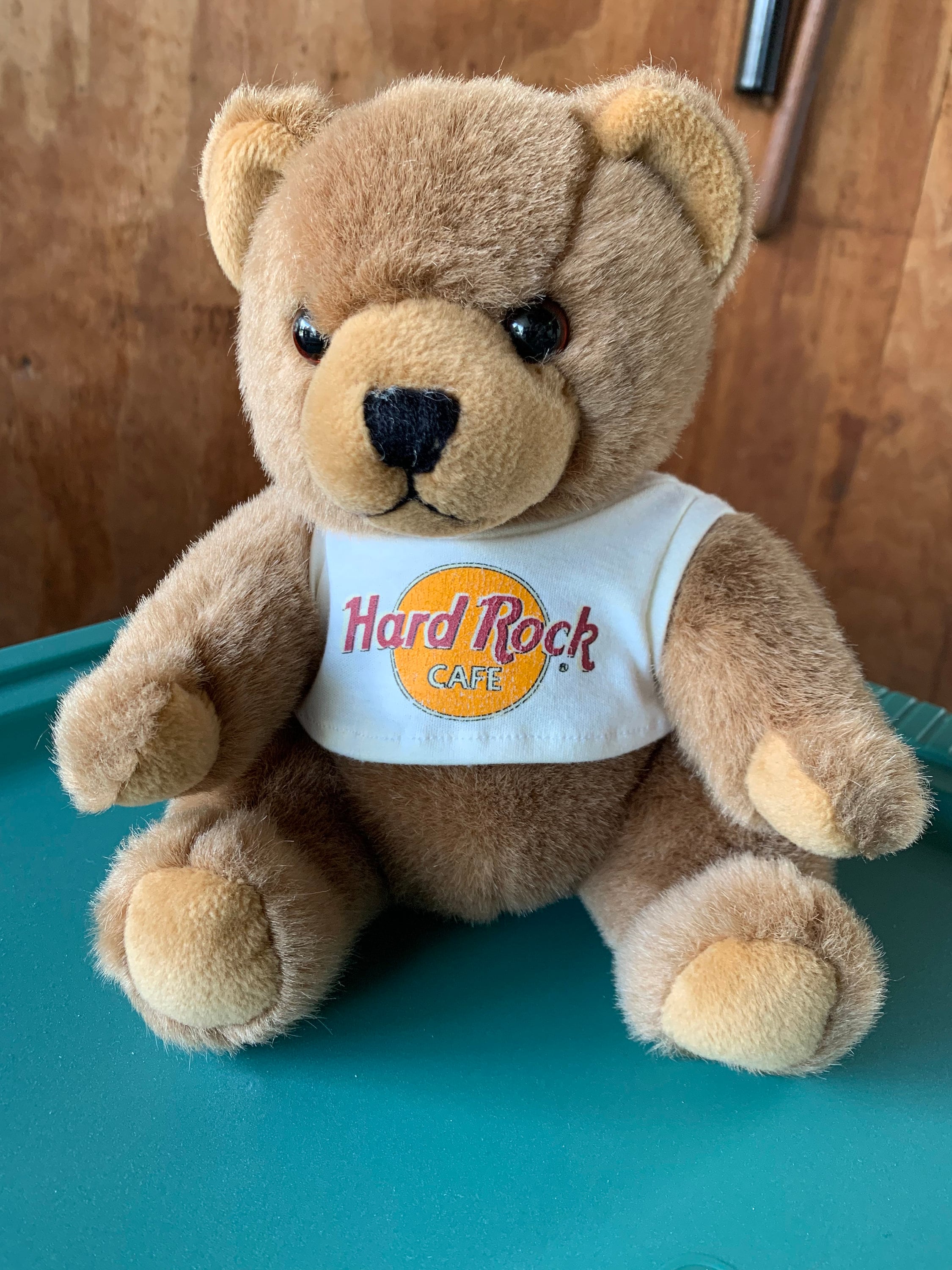 Hard rock cafe teddy bear collection sales