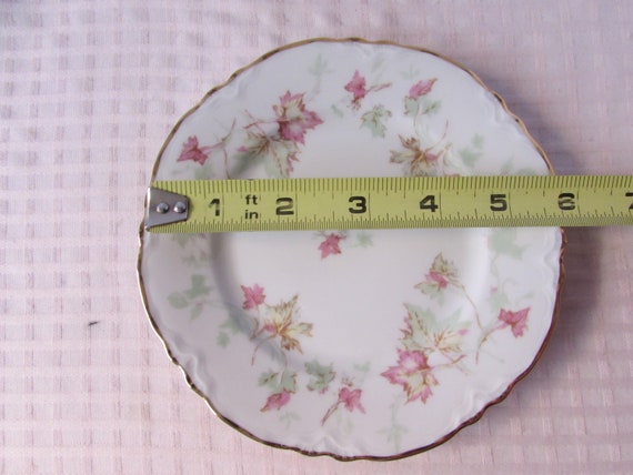 Set 6 Hutschenreuther Fine China Selb PASCO Bavaria Germany Berry