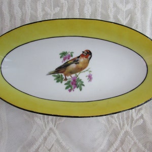 Small German Porcelain Bowl c. 1910 Yellow/Black/White Bird motif