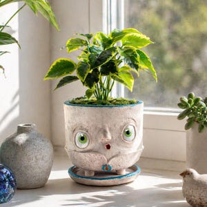 May include: A whimsical, off-white ceramic planter with a face design, featuring large green eyes and a surprised expression. The planter holds a vibrant green plant with yellow-edged leaves. Other decorative items include a blue glass sphere and a small bird figurine.