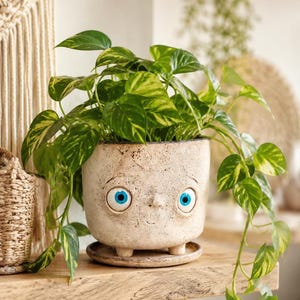 Handmade Ceramic Face Planter, Quirky Pottery Pot with Blue Eyes, Succulent Pot with Saucer