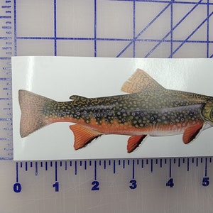 Real Brook Brown Trout Fish Realistic fish boat fishing boat sticker Logo Vinyl Decal 6 inch