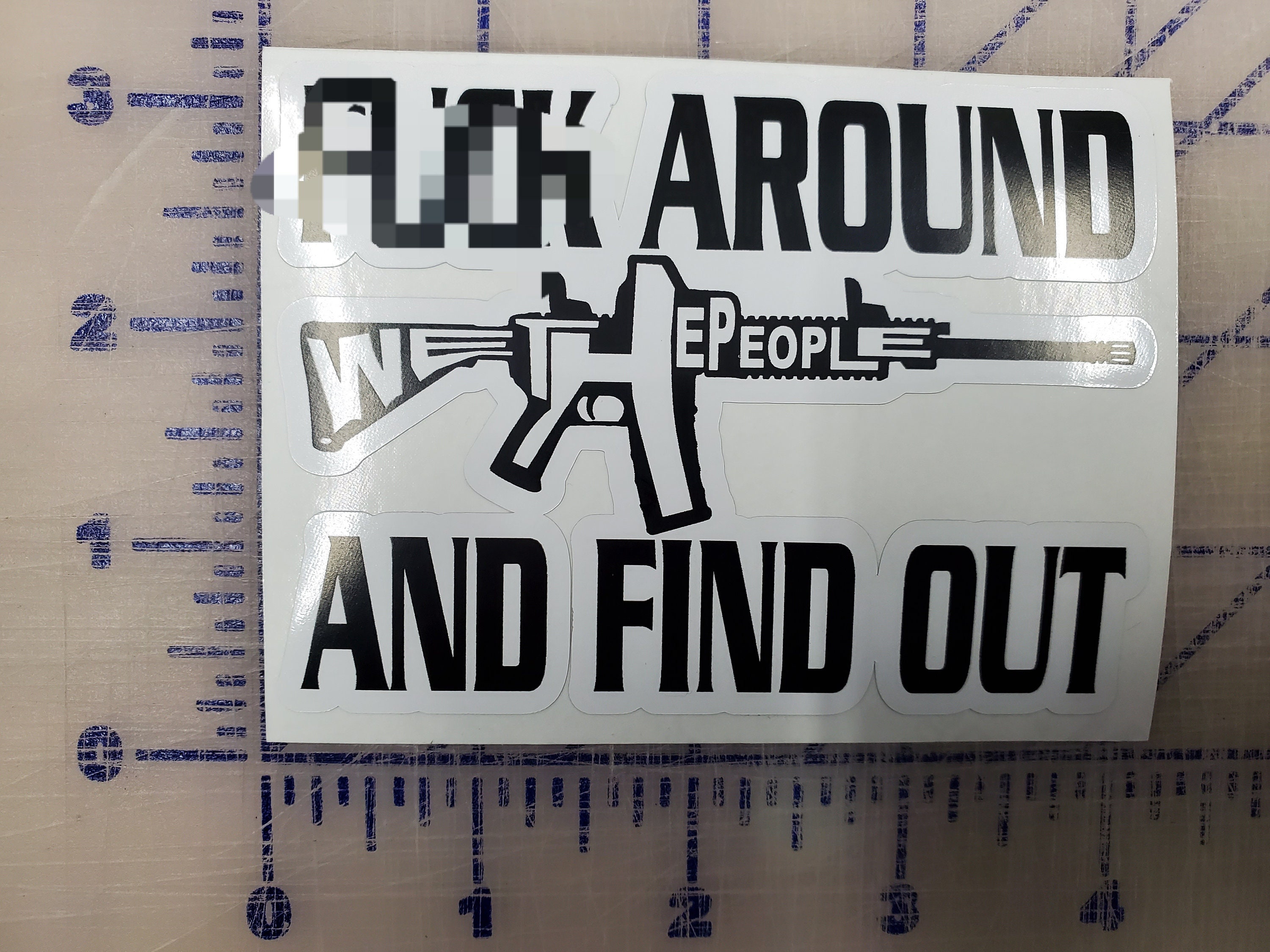 Fuck Around and Find Out Vinyl Bumper Sticker Political Sticker