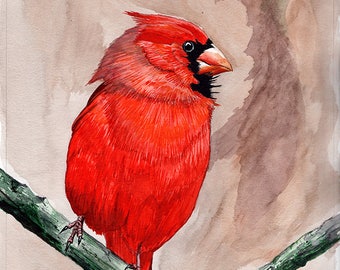 Cardinal painting 8x10 watercolor